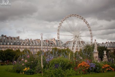 Luxembourg Garden Ferris Wheel Paris